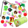 21-Piece Interactive Cat Toy Bundle: Endless Feline Fun - #pawlife