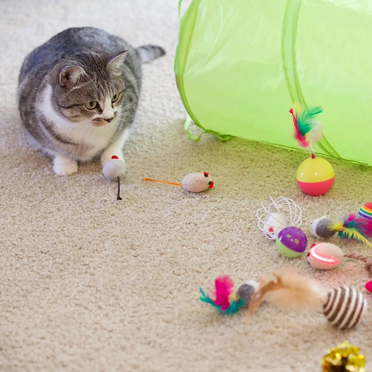 21-Piece Interactive Cat Toy Bundle: Endless Feline Fun - #pawlife