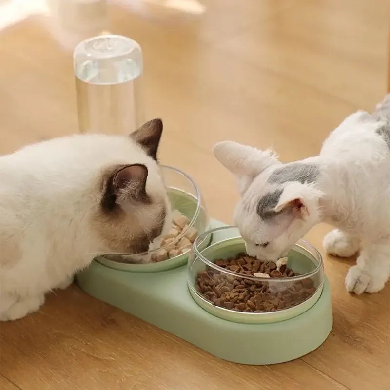 3-in-1 Cat and Puppy Food and Water Dispenser - #pawlife