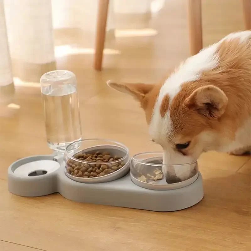 3-in-1 Cat and Puppy Food and Water Dispenser - #pawlife