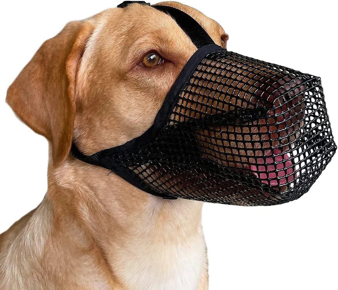 Adjustable Breathable Dog Muzzle: Anti-Bark and Anti-Bite Mesh Mouth Cover for Long-Mouthed Dogs - Ensures Comfortable and Safe Use - #pawlife - #petproducts