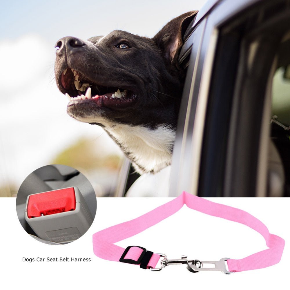 Adjustable Dog Car Safety Seat Belt | 43-70cm - #pawlife