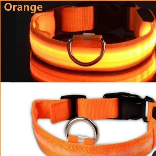 Adjustable LED Dog Collar: Glowing & Rechargeable - #pawlife