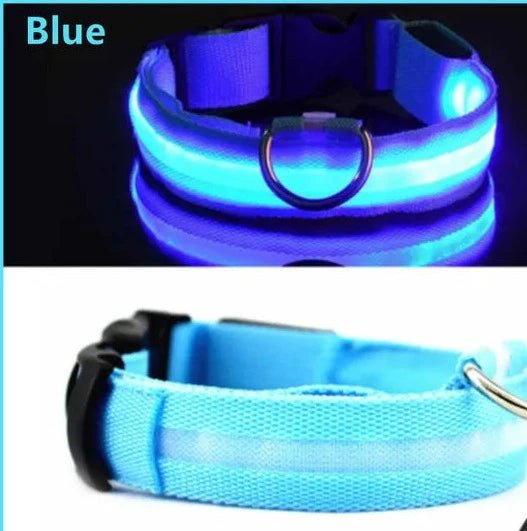 Adjustable LED Dog Collar: Glowing & Rechargeable - #pawlife