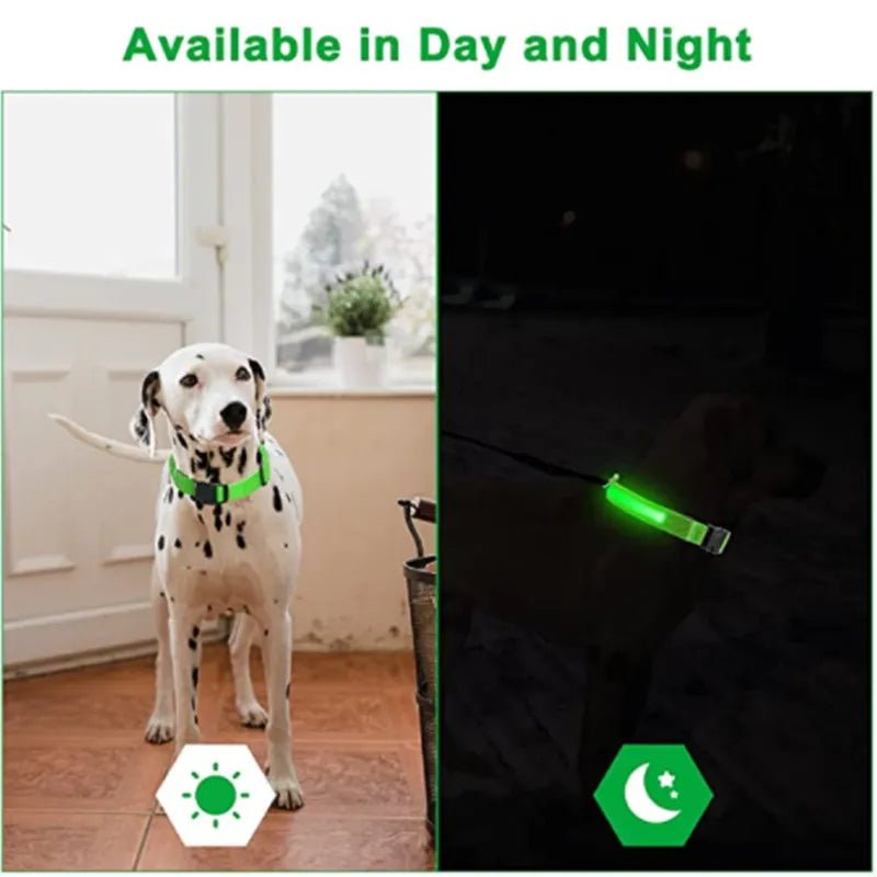 Adjustable LED Dog Collar: Glowing & Rechargeable - #pawlife