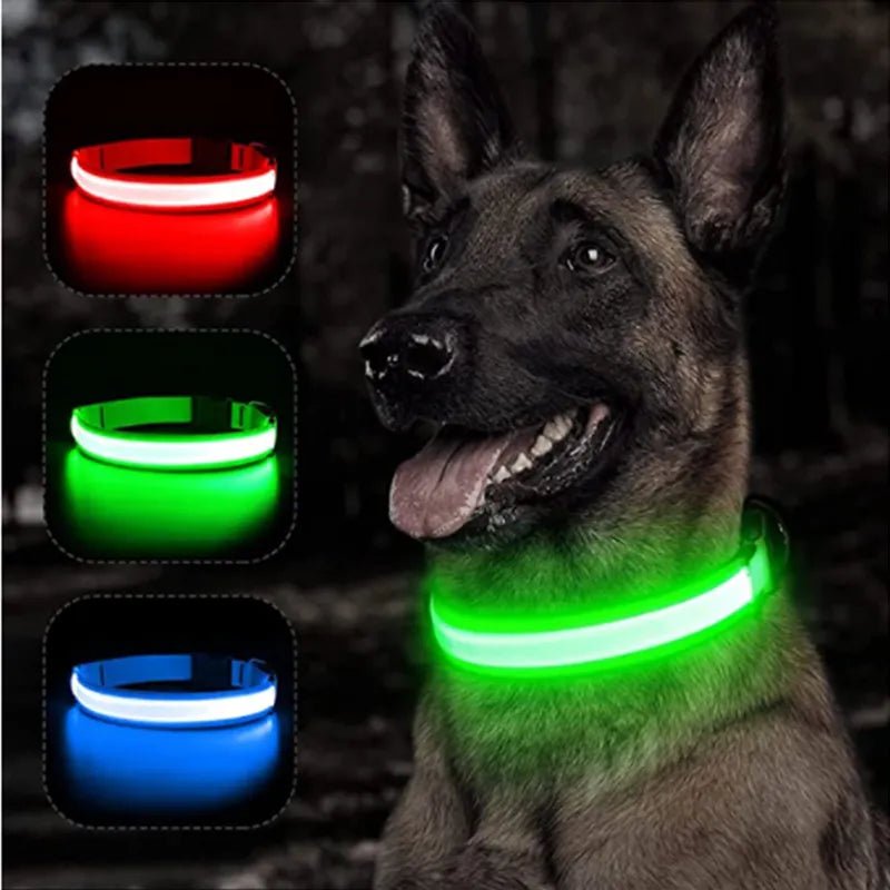 Adjustable LED Dog Collar: Glowing & Rechargeable - #pawlife