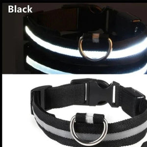 Adjustable LED Dog Collar: Glowing & Rechargeable - #pawlife