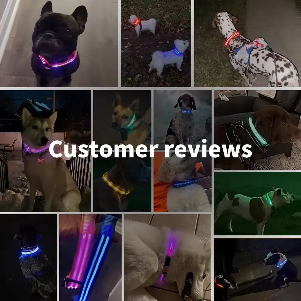 Adjustable LED Dog Collar: Glowing & Rechargeable - #pawlife