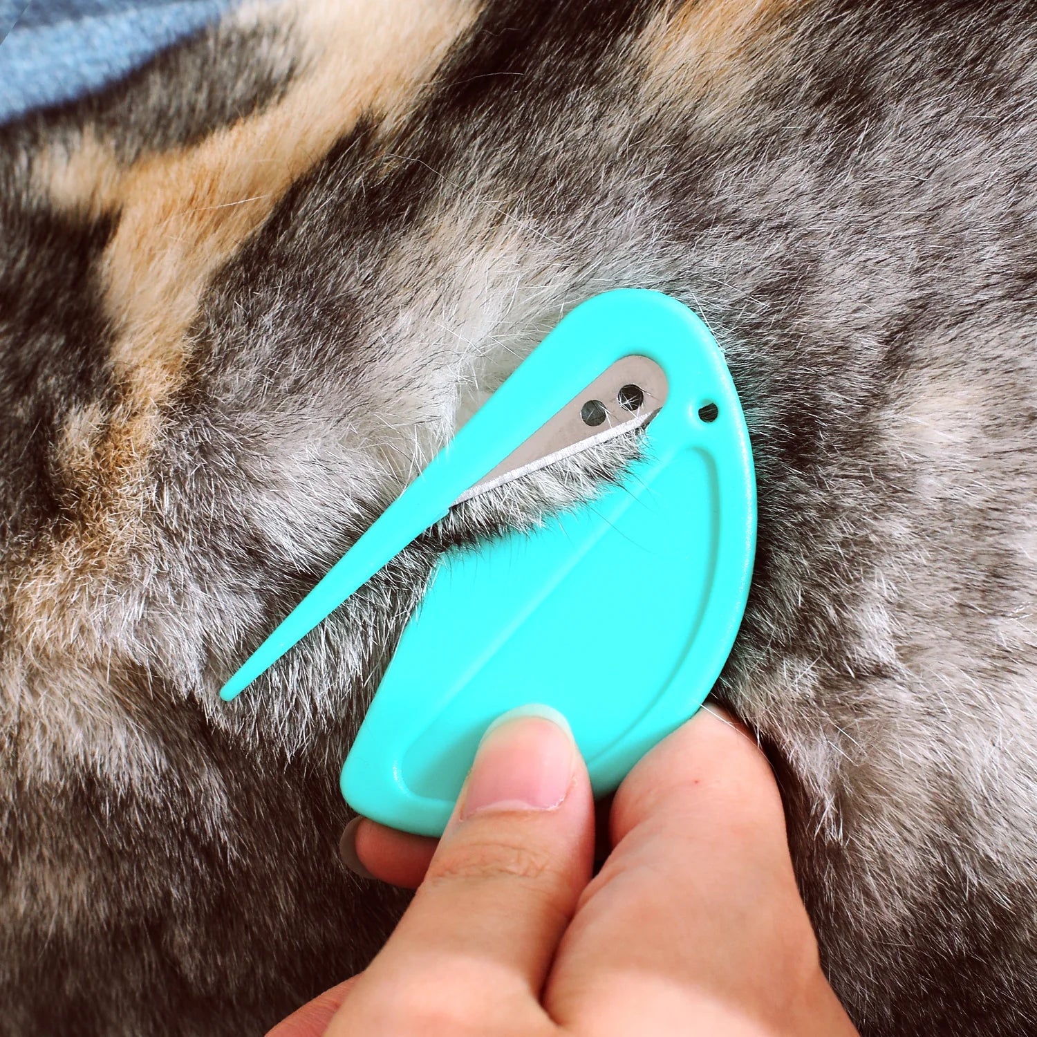 Charming Compact Pet Groomer - Gentle De-tangling and Trimming - #pawlife