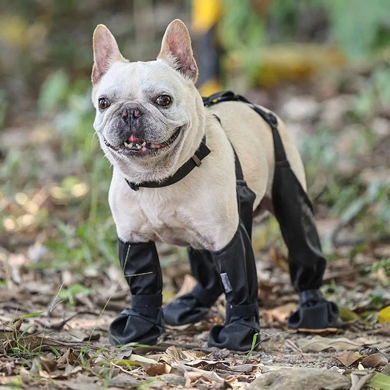 Durable Waterproof Dog Snow Booties: Non-Slip, Breathable Socks for Small, Medium, and Large Dogs - #pawlife