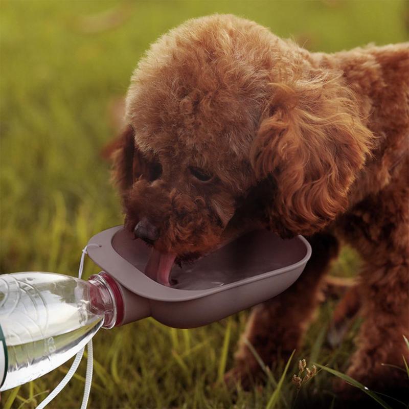 Hydration on the Go: Portable Water Bottle for Small to Large Dogs, Puppies, Cats - Ideal Outdoor Pet Feeder and Dispenser - #pawlife