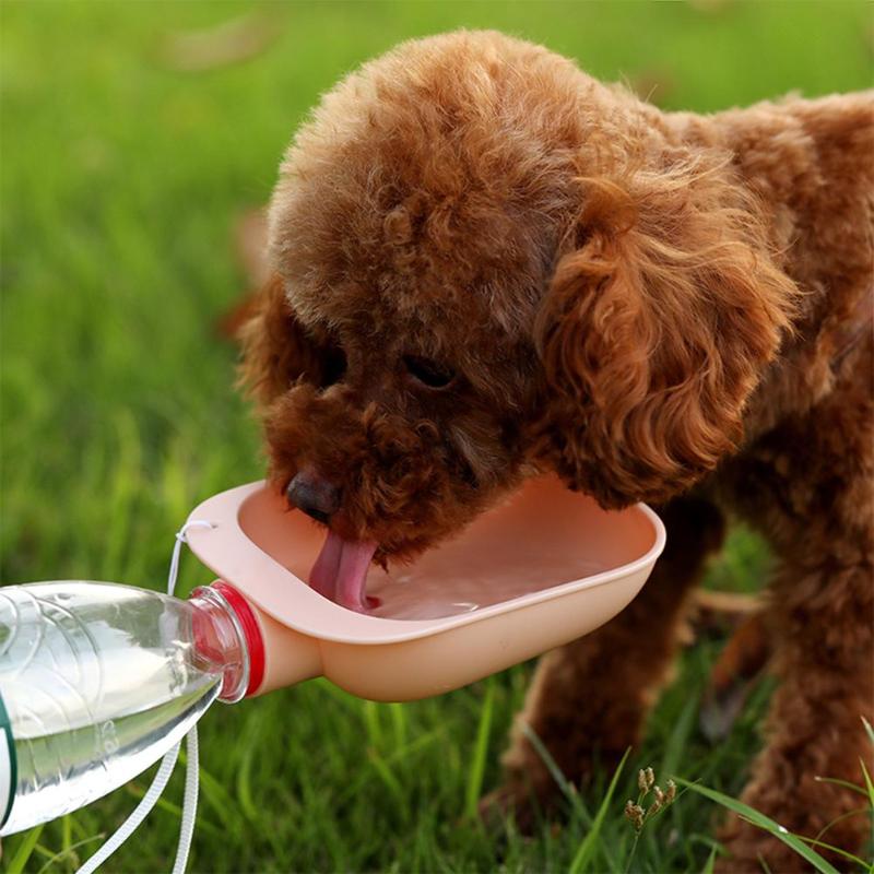 Hydration on the Go: Portable Water Bottle for Small to Large Dogs, Puppies, Cats - Ideal Outdoor Pet Feeder and Dispenser - #pawlife