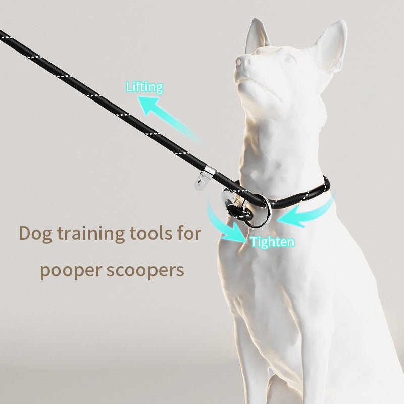 LED Lit Pet Leash: Illuminated Dog Traction Rope - #pawlife