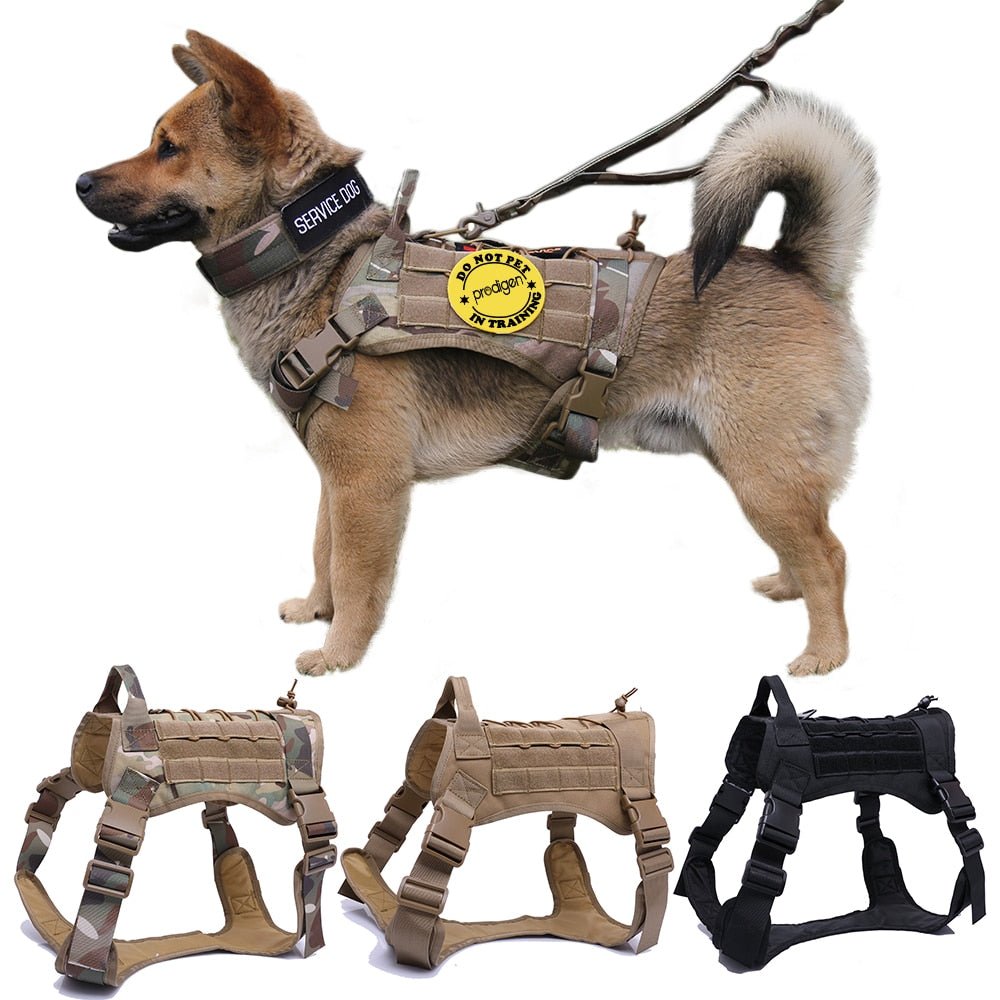 Military Tactical Dog Harness German Shepherd Pet Dog Vest With Handle Nylon Bungee Dog Leash Harness For Small Large Dogs Puppy - #pawlife