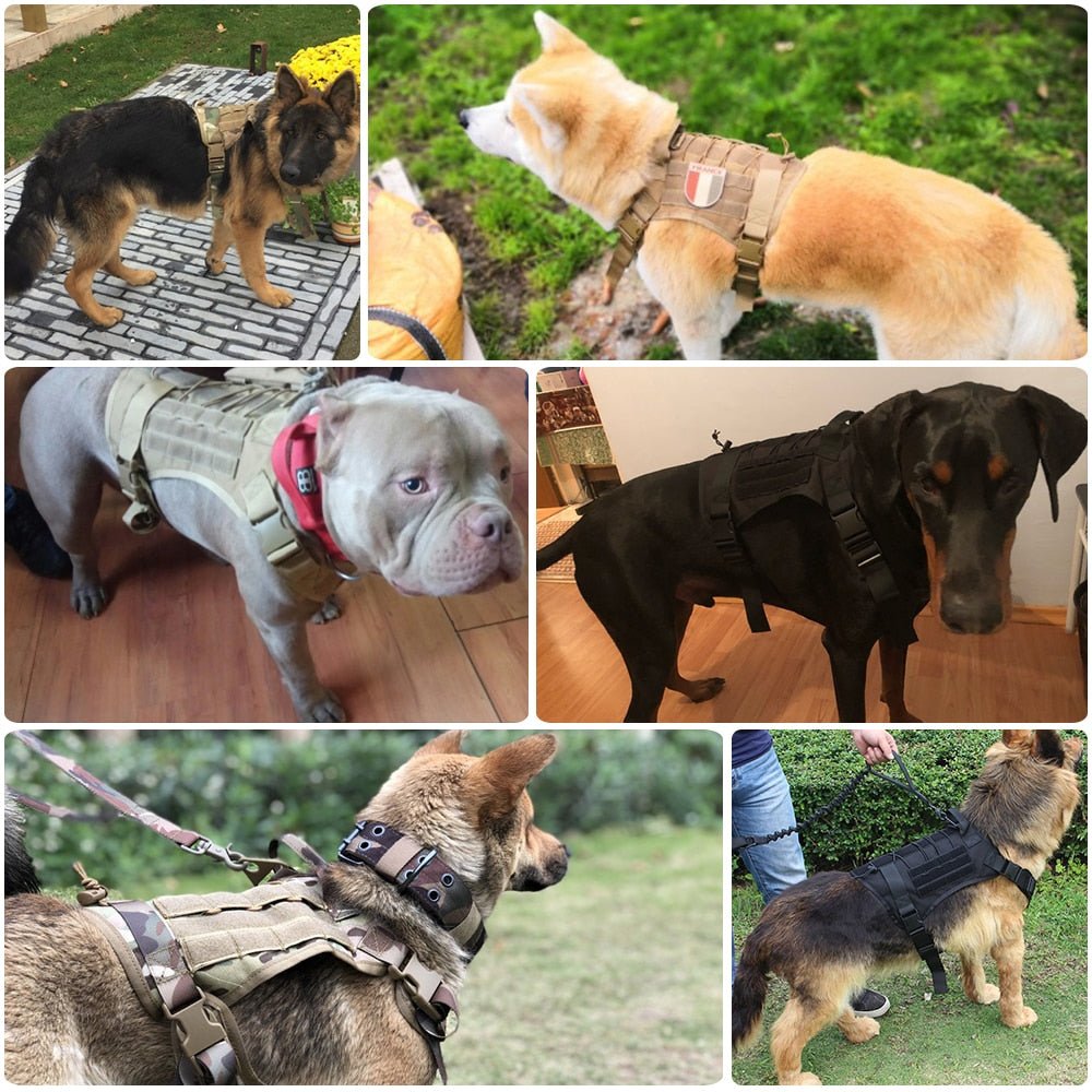 Military Tactical Dog Harness German Shepherd Pet Dog Vest With Handle Nylon Bungee Dog Leash Harness For Small Large Dogs Puppy - #pawlife