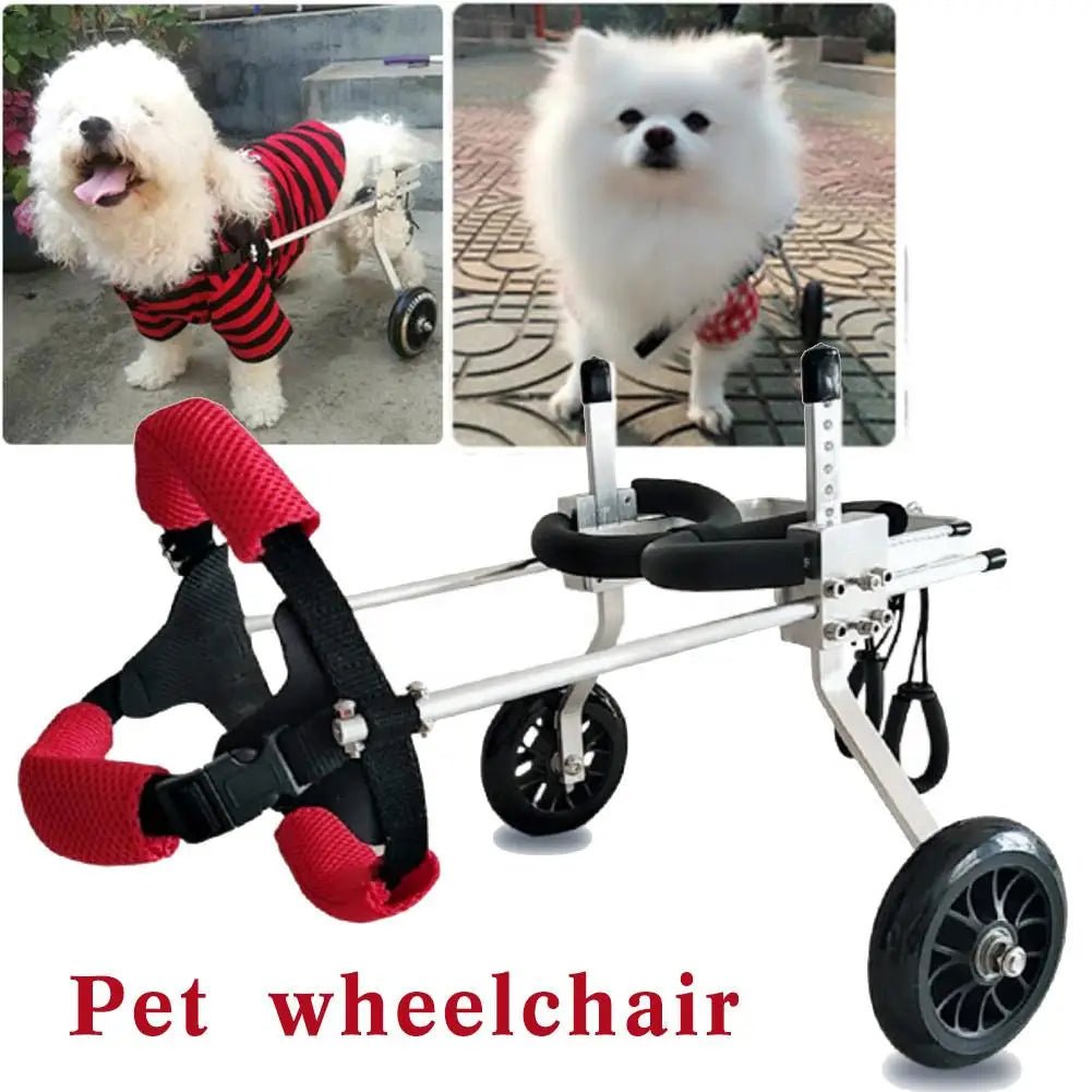 Mobility Aid for Pets: 2-Wheel Rear Pet Wheelchair for Handicapped Dogs with Weak or Paralyzed Hind Legs - #pawlife