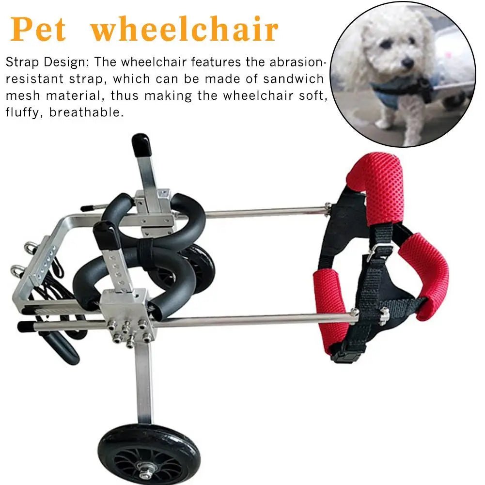 Mobility Aid for Pets: 2-Wheel Rear Pet Wheelchair for Handicapped Dogs with Weak or Paralyzed Hind Legs - #pawlife