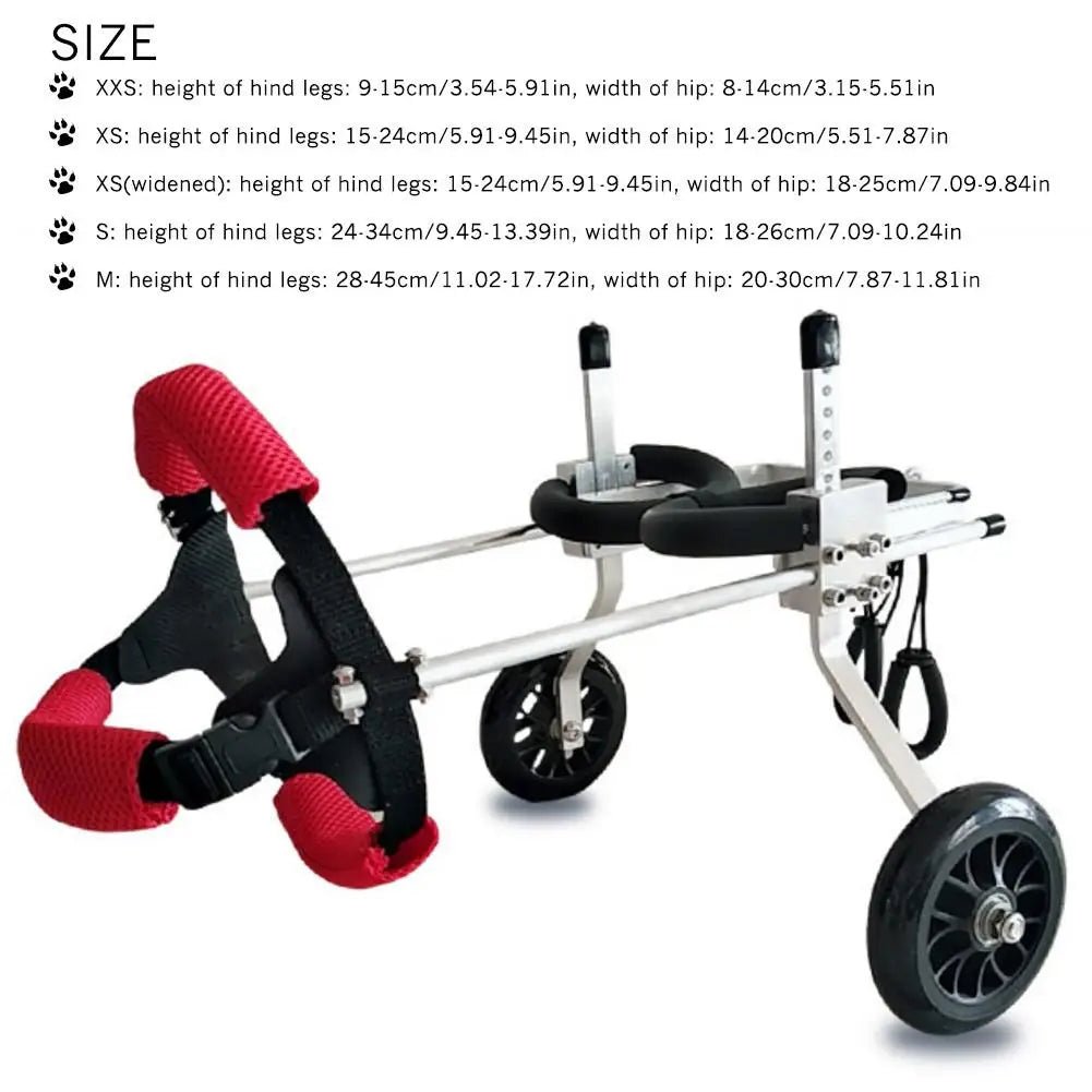 Mobility Aid for Pets: 2-Wheel Rear Pet Wheelchair for Handicapped Dogs with Weak or Paralyzed Hind Legs - #pawlife