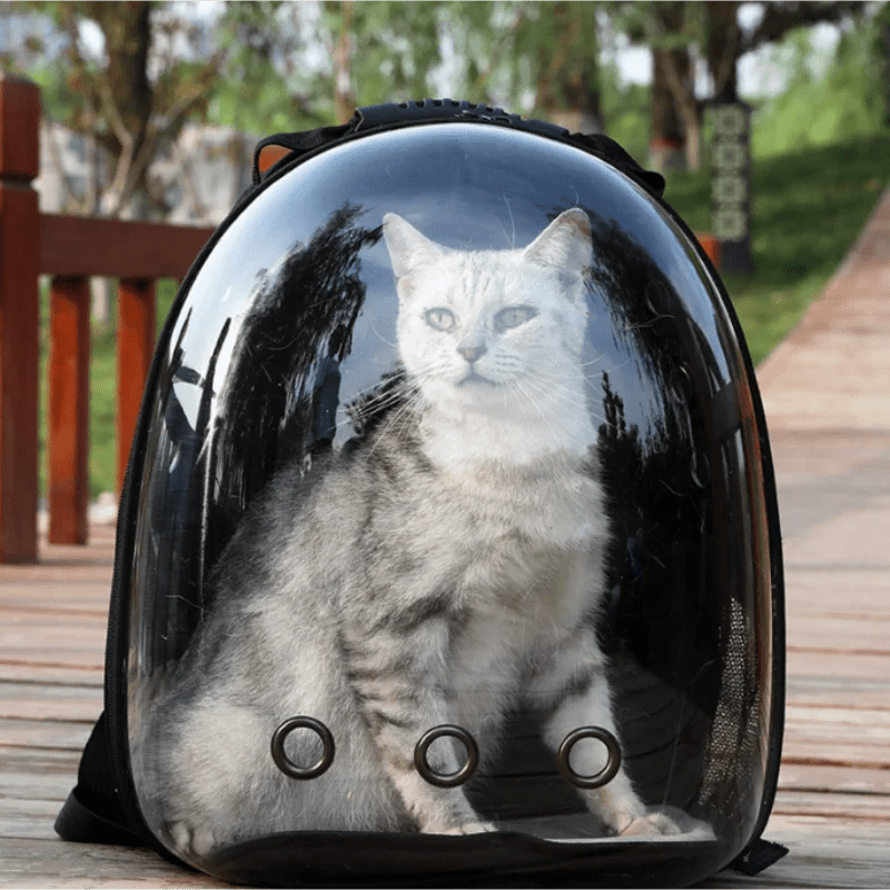 Portable Transparent Cat Bags, Breathable Pet Backpacks, Space Capsule - #pawlife