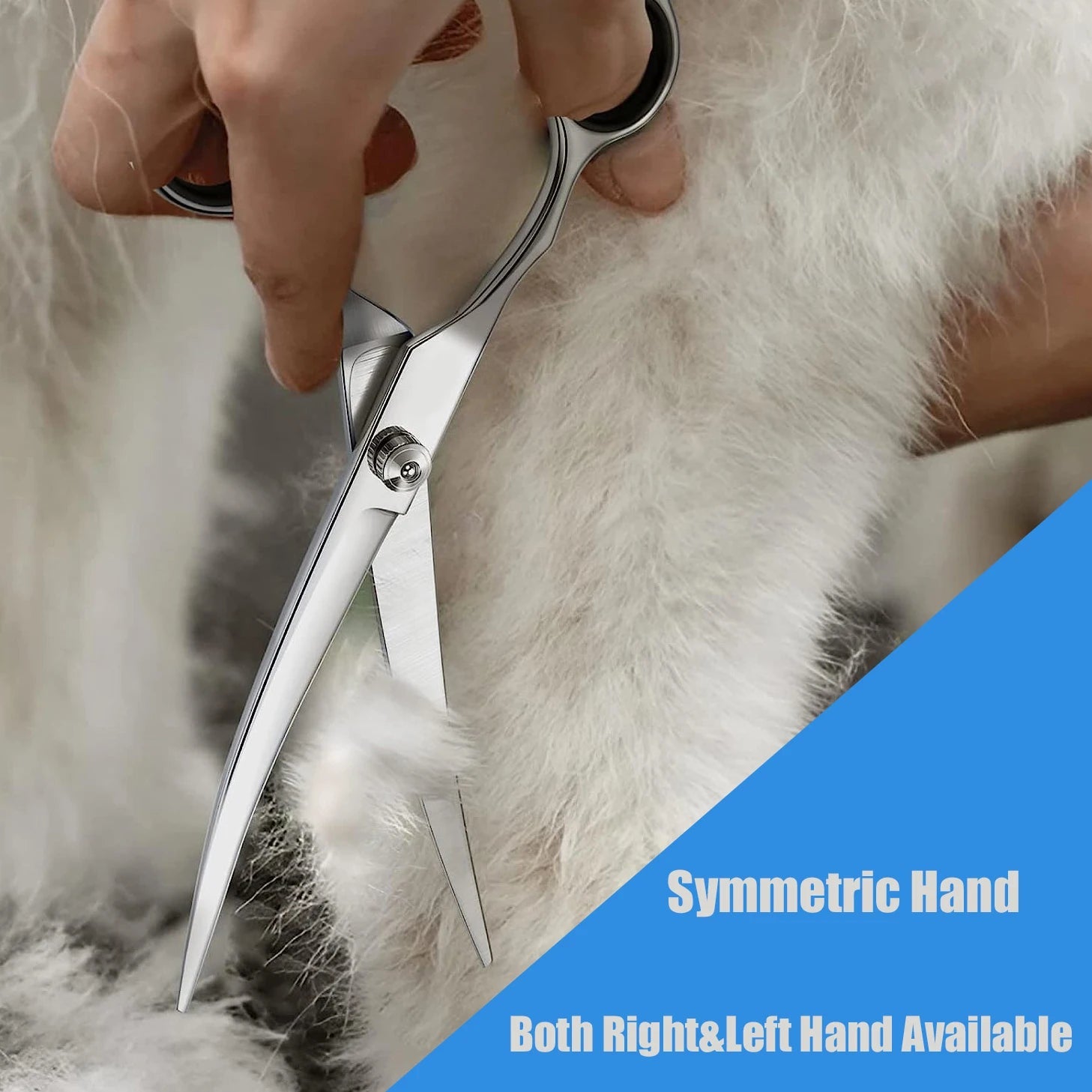 PStainless Steel Pet Grooming Scissors: Professional Shears for Precise Trimming of Dog, Cat, and Other Pets' Hair - #pawlife