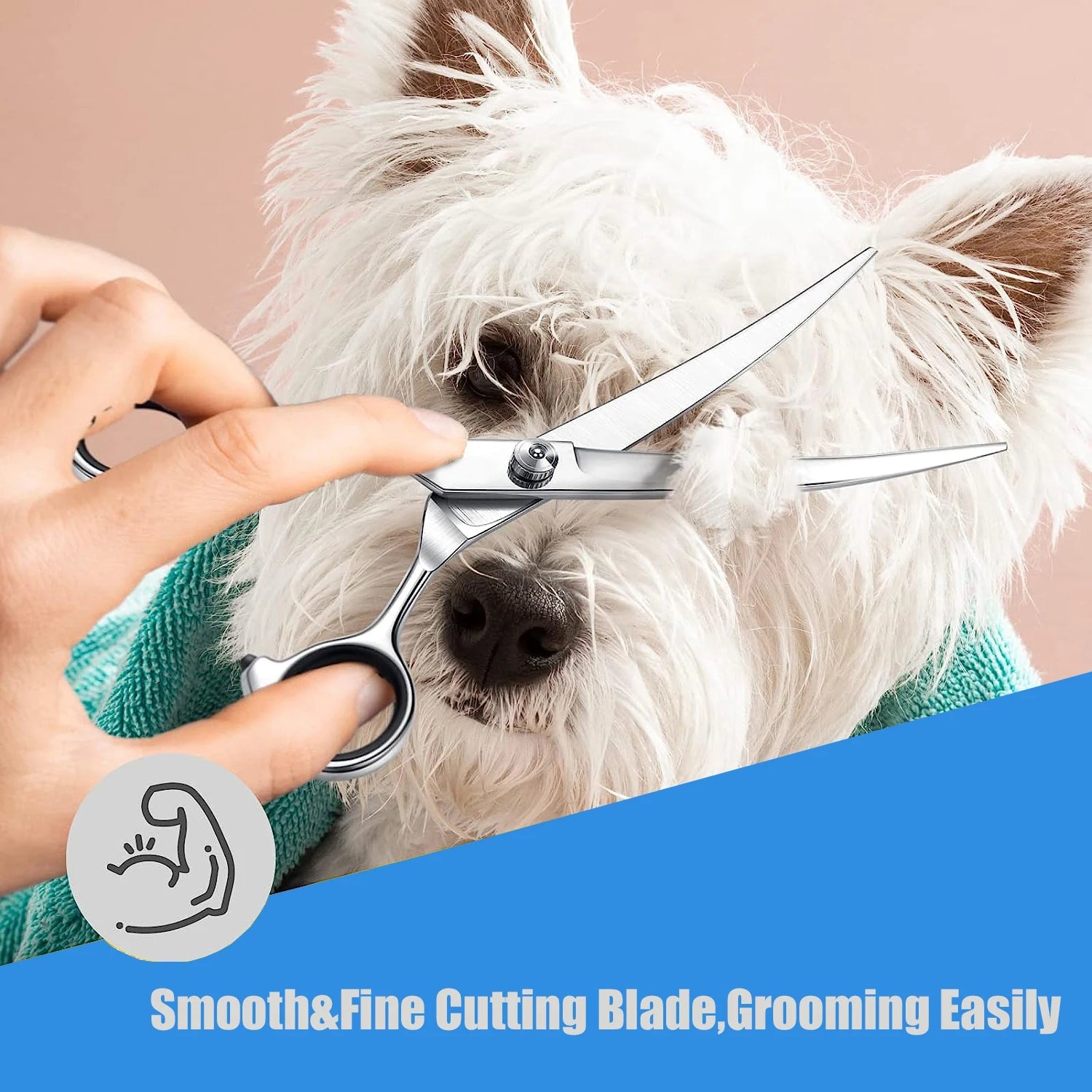 PStainless Steel Pet Grooming Scissors: Professional Shears for Precise Trimming of Dog, Cat, and Other Pets' Hair - #pawlife