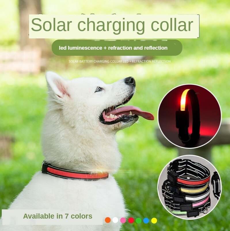 Rechargeable LED Solar Luminous Dog Collar with Flashing Halo – Ideal for Night Safety and Pet Visibility - #pawlife