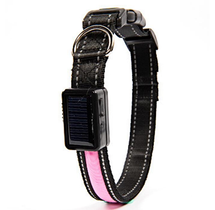 Rechargeable LED Solar Luminous Dog Collar with Flashing Halo – Ideal for Night Safety and Pet Visibility - #pawlife