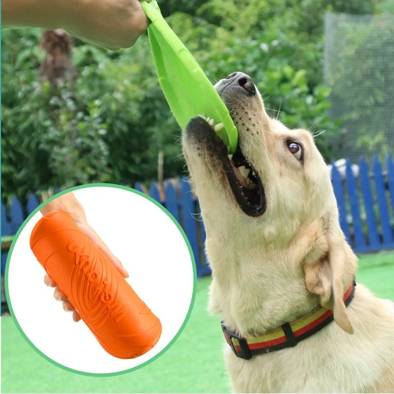 Silicone Dog Frisbee: Interactive Training Toy - #pawlife