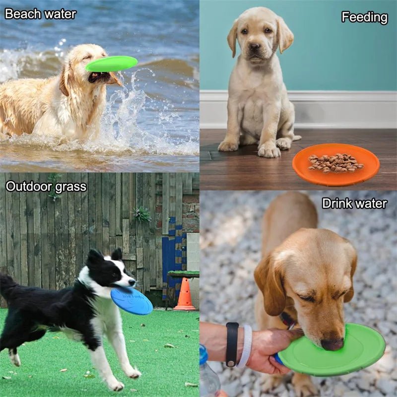 Silicone Dog Frisbee: Interactive Training Toy - #pawlife