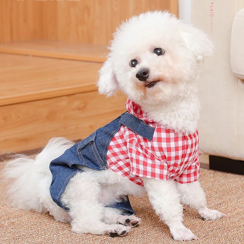 Striped Plaid Jean Jumpsuit Hoodies: Stylish Pet Costume for Small to Medium Dogs like Chihuahuas, French Bulldogs, and Puppies - #pawlife