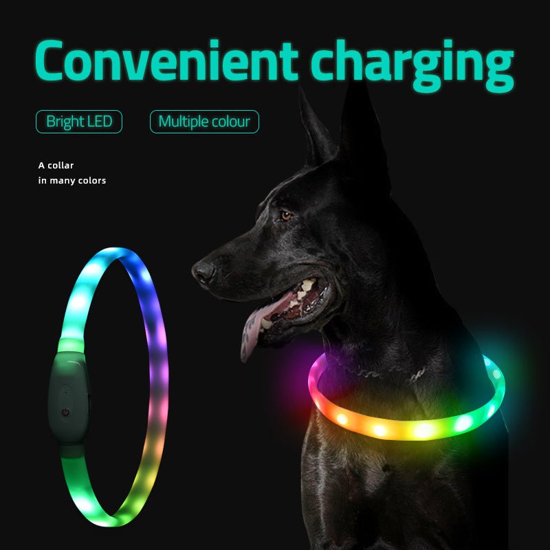 USB Rechargeable Pet Luminous Collar: LED Collar with Night Aperture for Safe Dog Walking - #pawlife