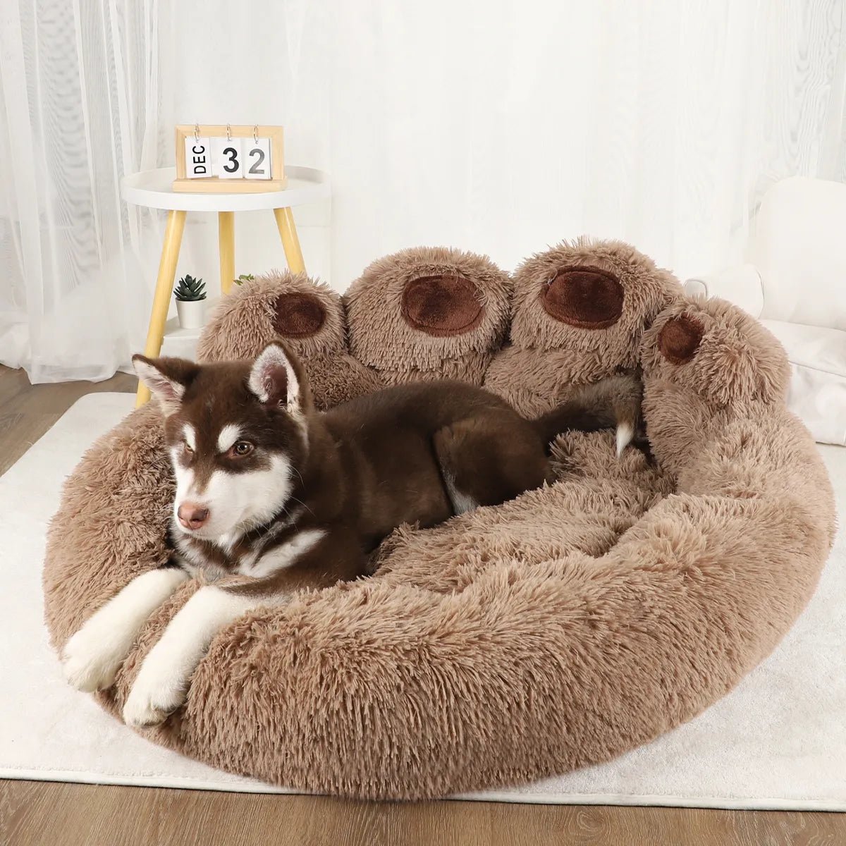 Warm and Comfy Pet Sofa Beds: Perfect Accessories for Small to Large Dogs and Cats - #pawlife