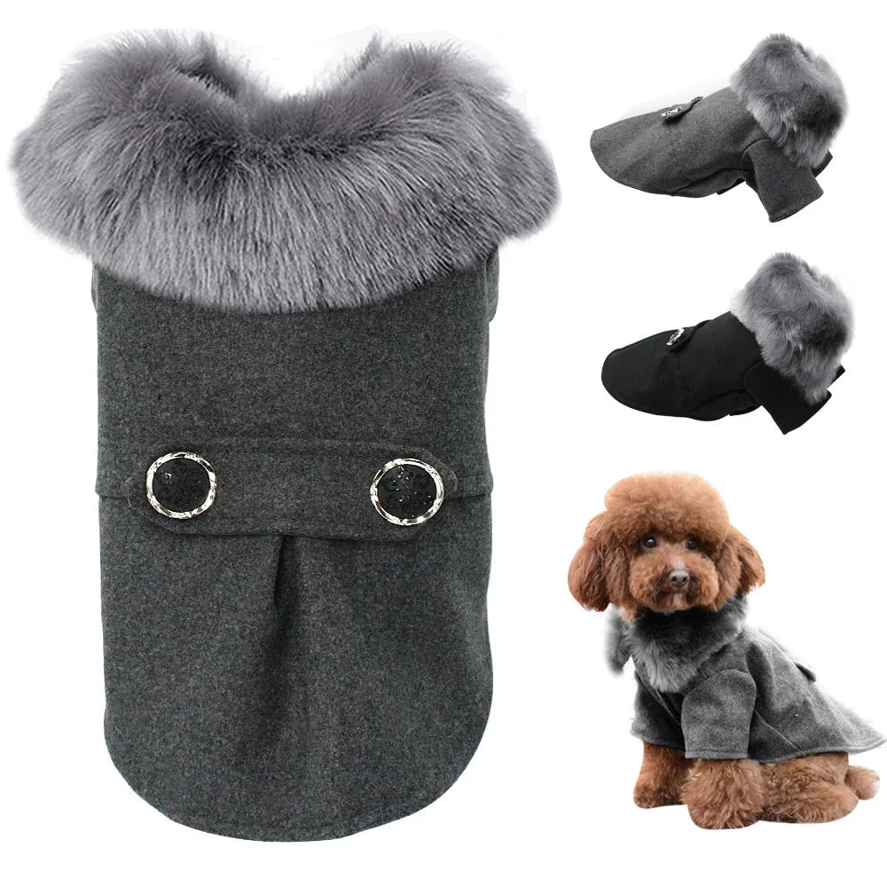 Warm & Stylish: Winter Coats for Small to Medium Pet Dogs - #pawlife