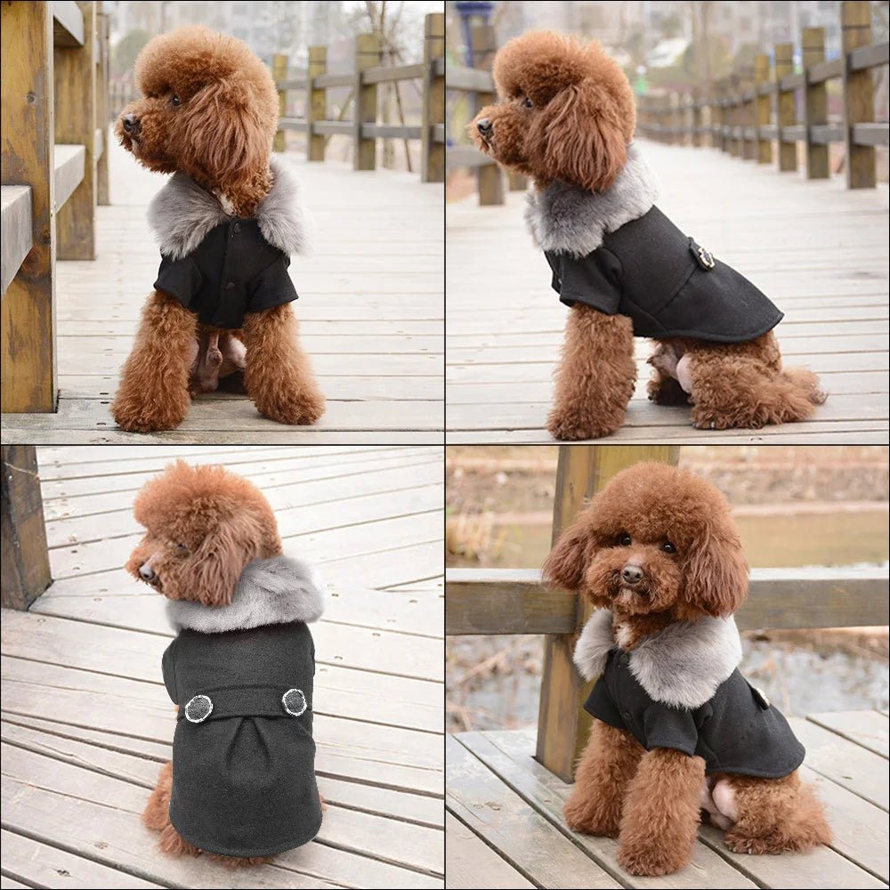 Warm & Stylish: Winter Coats for Small to Medium Pet Dogs - #pawlife