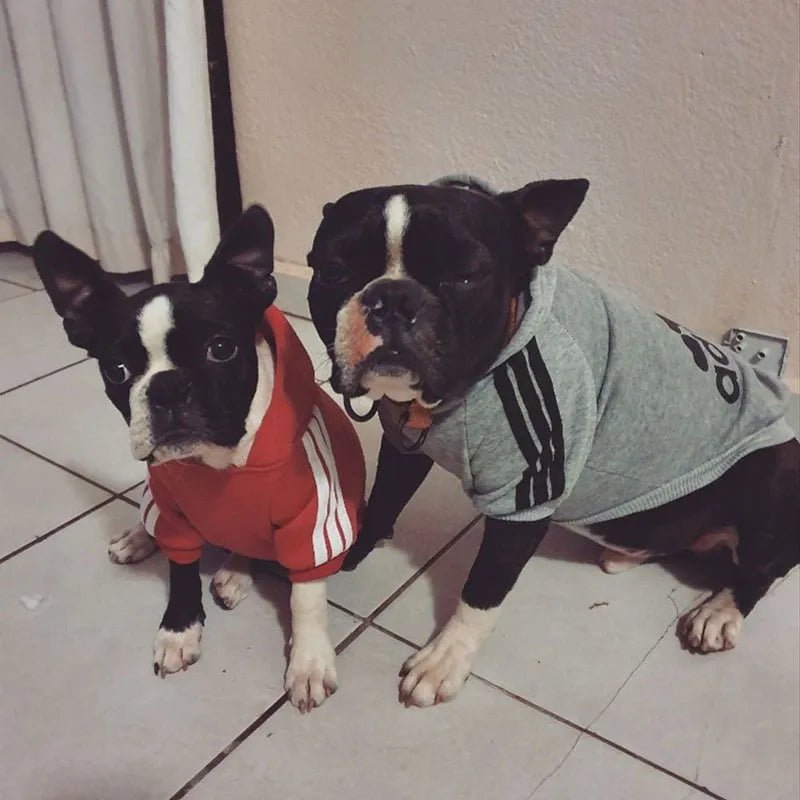 Winter Adidog Sport Hoodies: Warm Sweatshirts for Small, Medium, and Large Dogs, Cats, and Pets - #pawlife