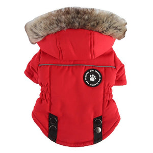 Winter Padded Dog Jacket: Stylish Chest and Back Zipper Pet Clothes for Keeping Your Canine Companion Warm - #pawlife - #petproducts